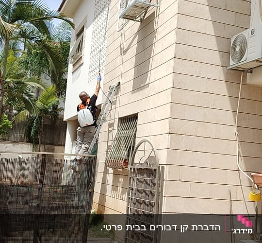 אדם על סולם עם ציוד הדברה ליד קיר בניין